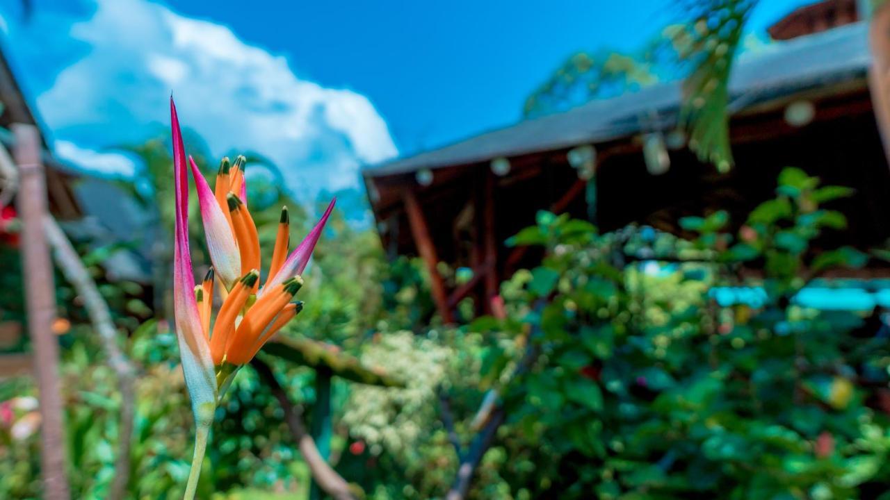 Sisakuna Lodge ميندو المظهر الخارجي الصورة